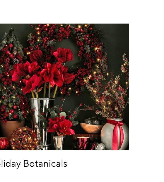 Holiday Botanicals